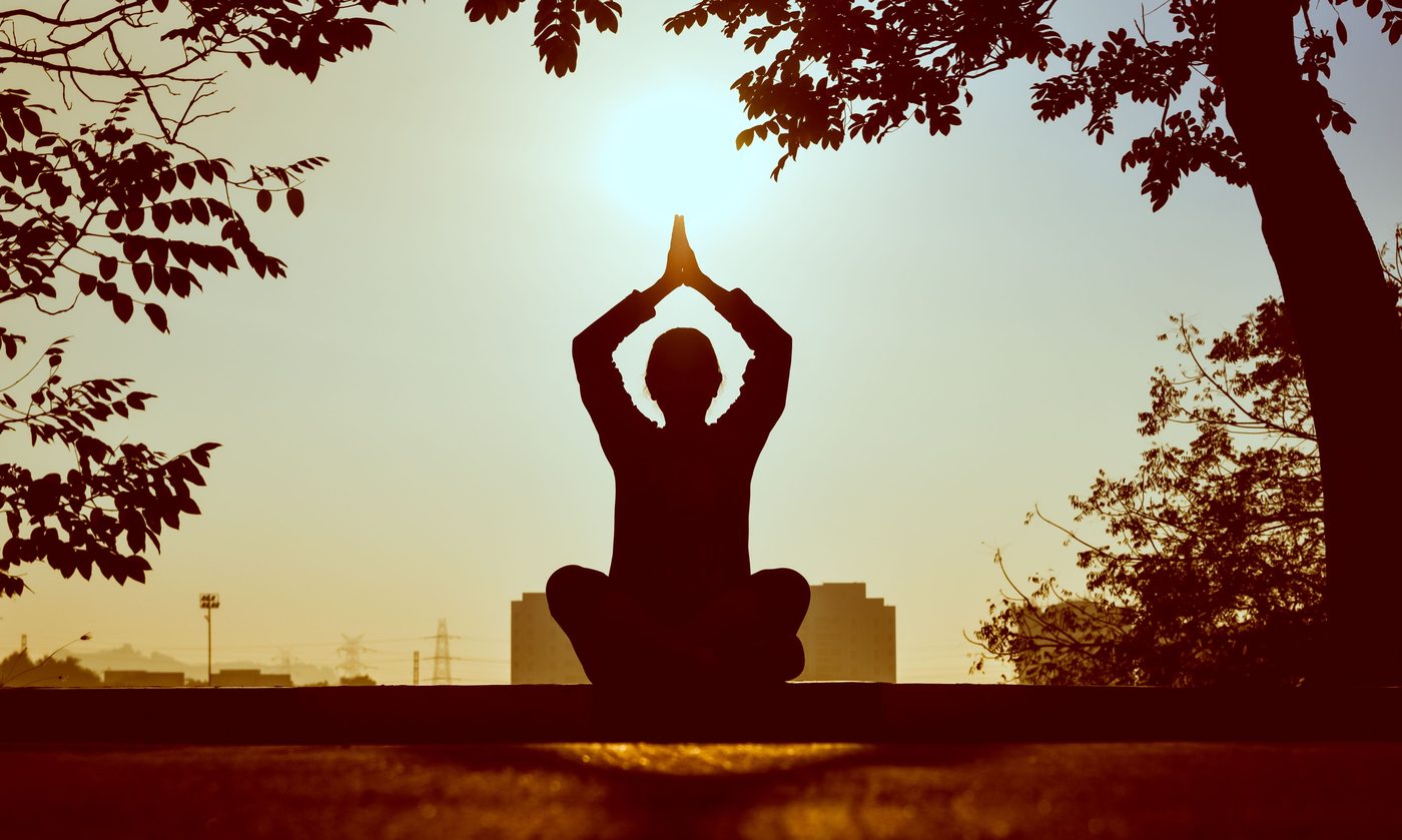 Ageless Body, Timeless Mind
