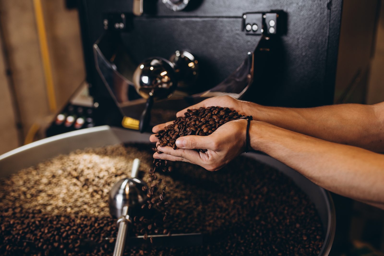 Aillio Bullet R1 Home Coffee Roaster
