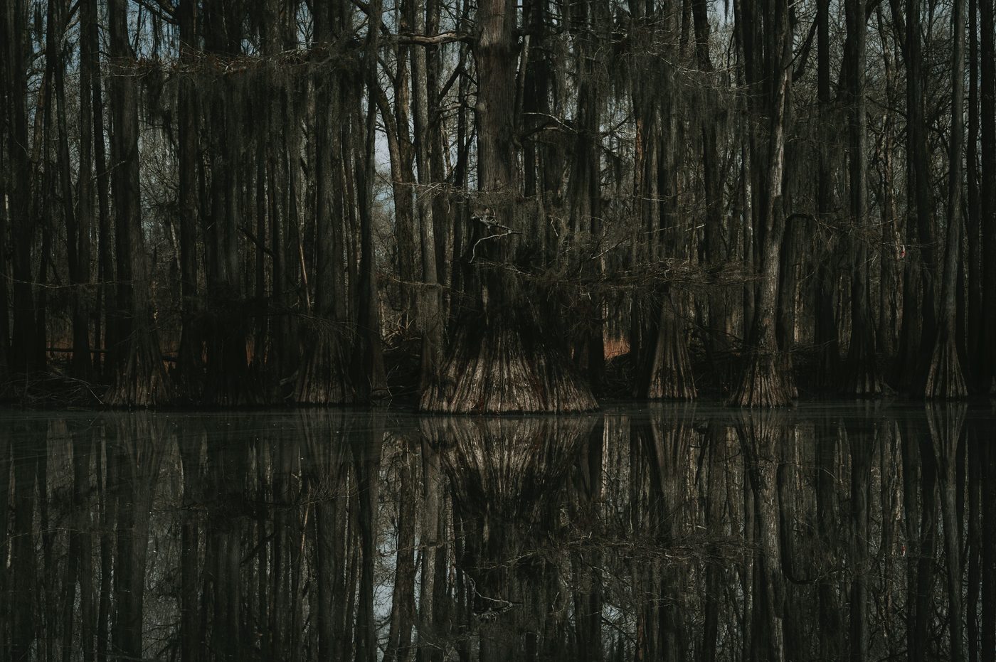 Annihilation