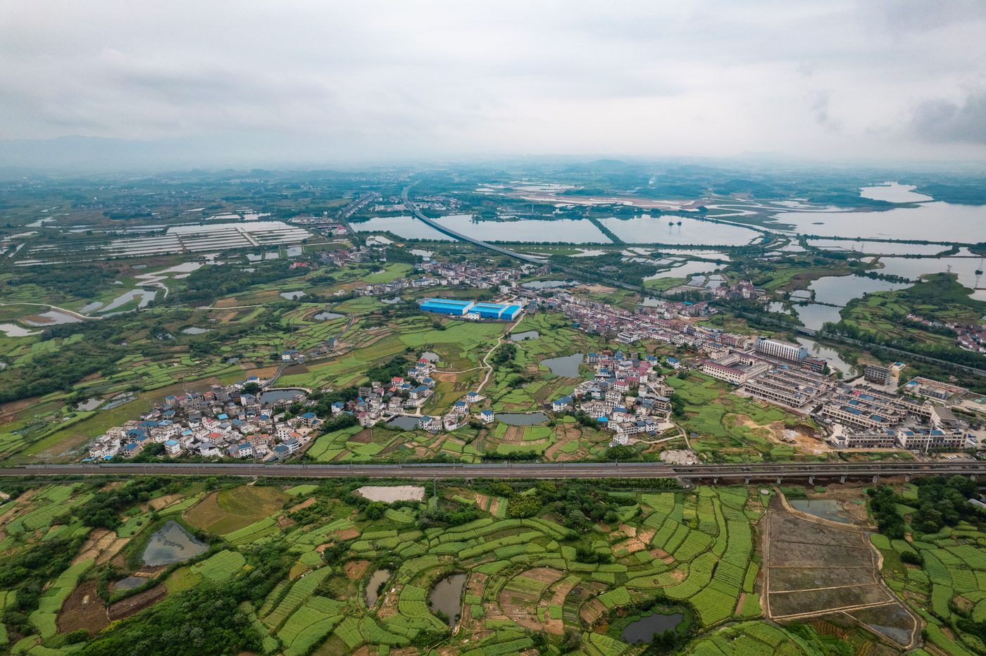 The China Study