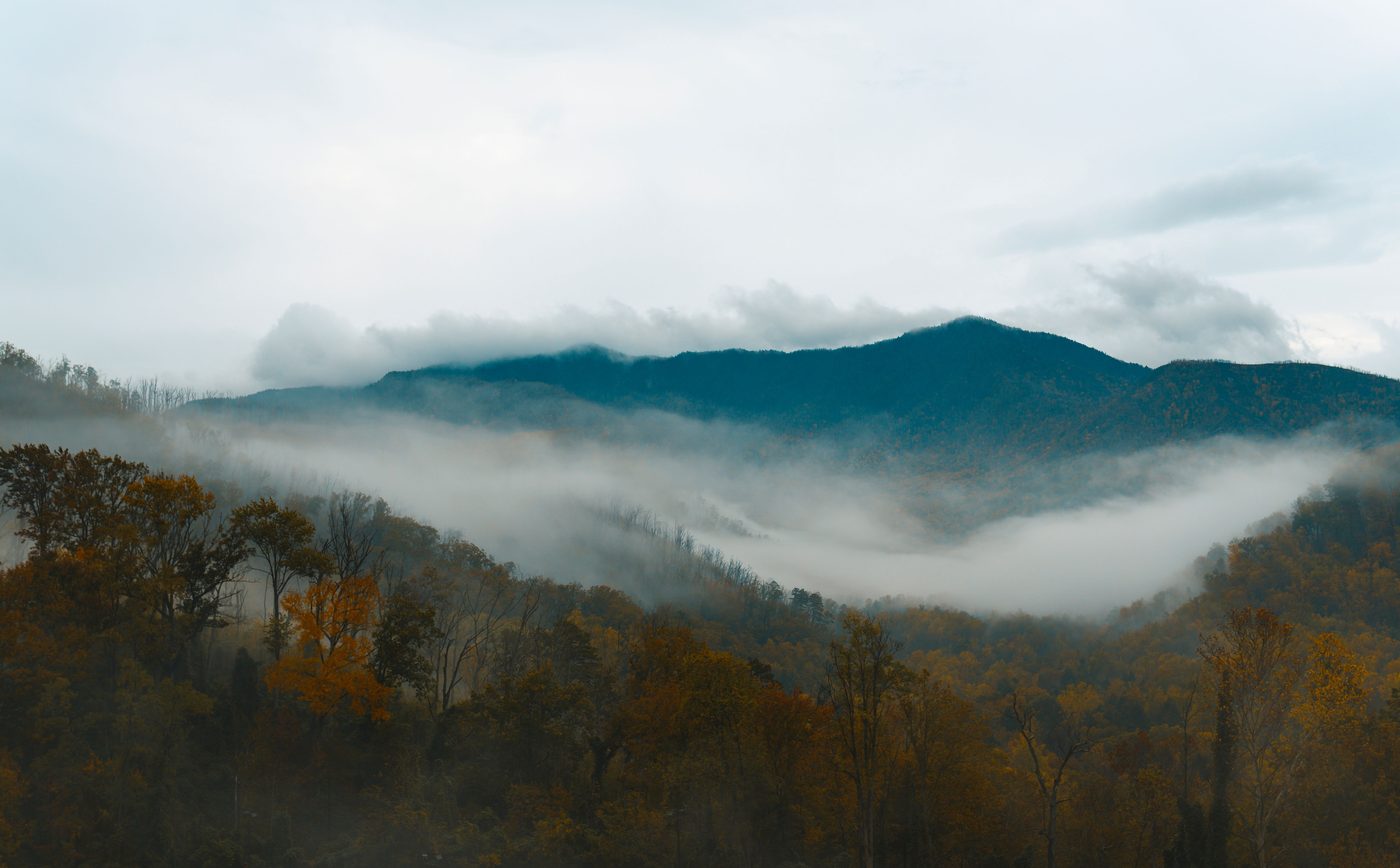 Cold Mountain
