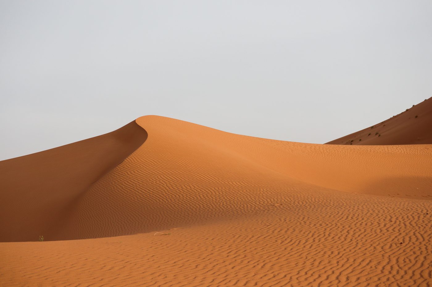 Dune
