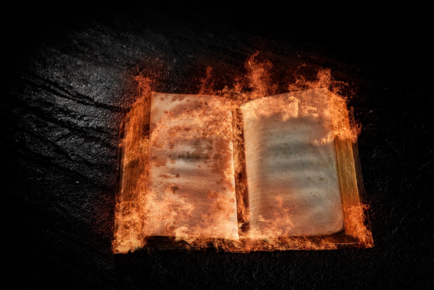 Fahrenheit 451 by Ray Bradbury (Premium Hardcover Edition)