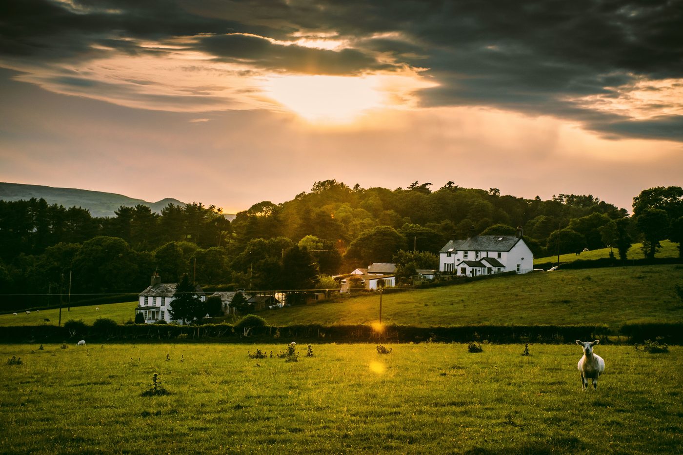 Far from the Madding Crowd