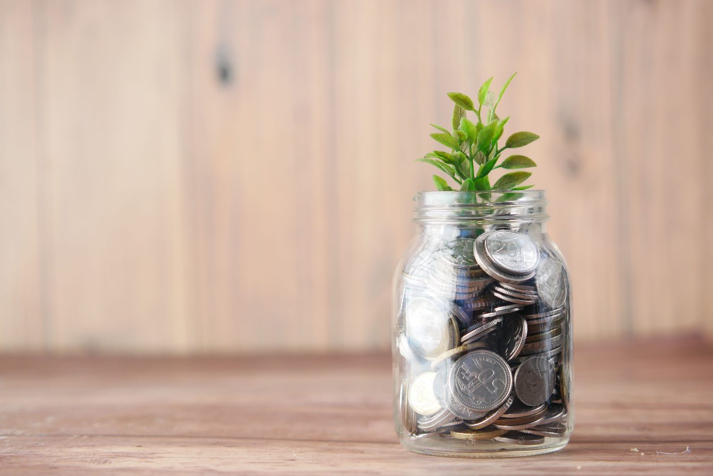 Financial Freedom