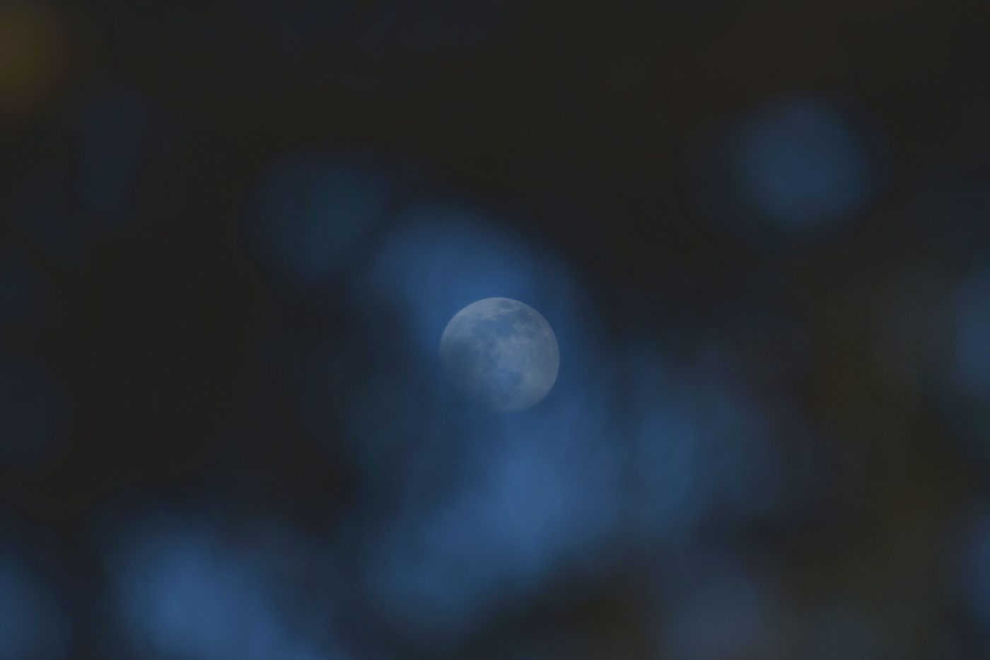 The Girl Who Drank the Moon
