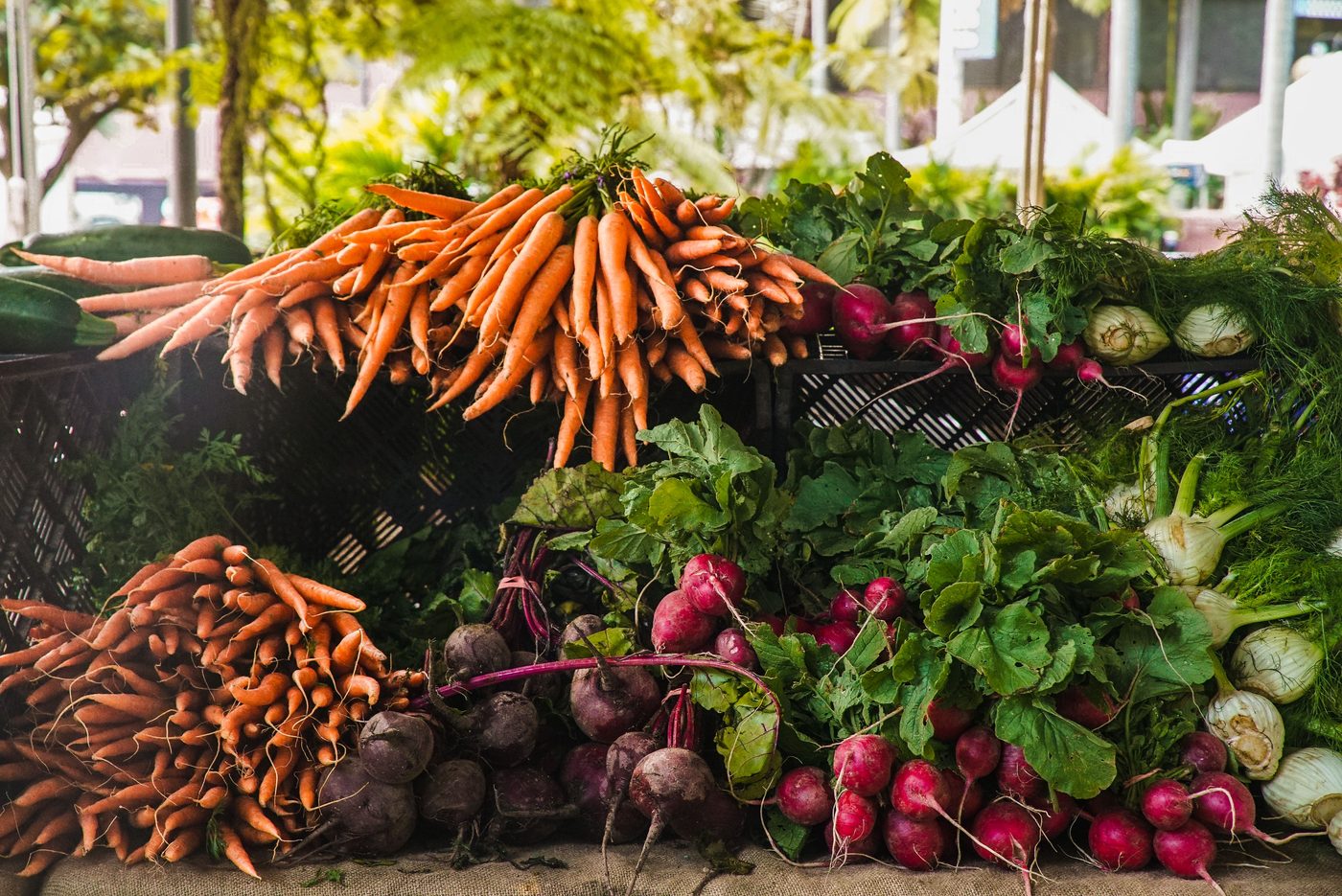 In Defense of Food