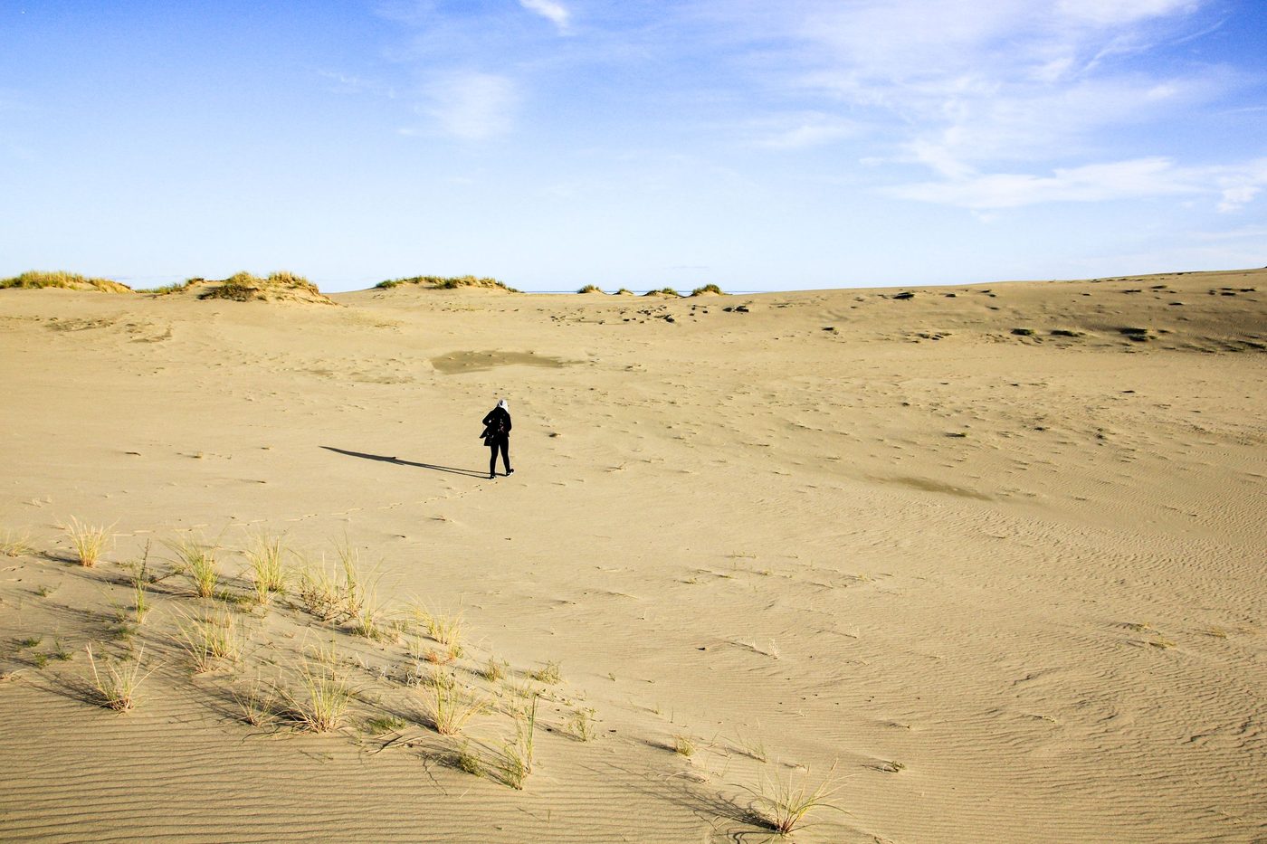 In the Distance