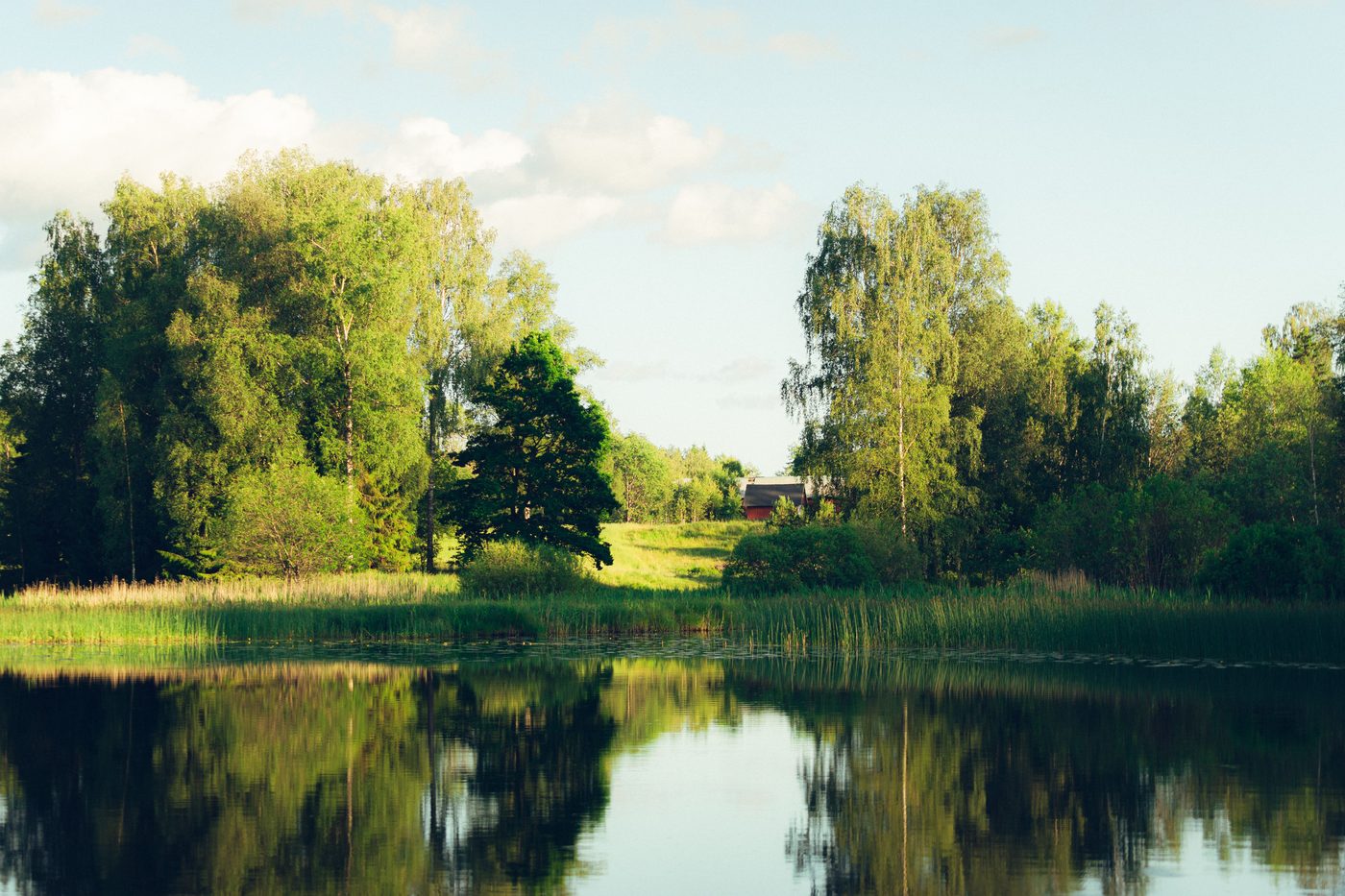 Lagom