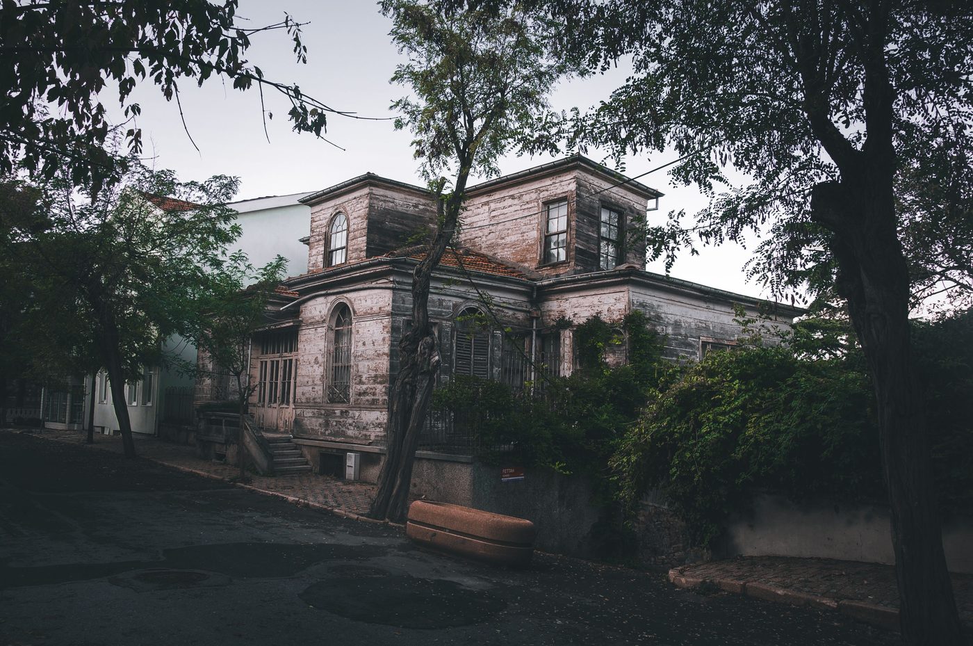 The Last House on Needless Street