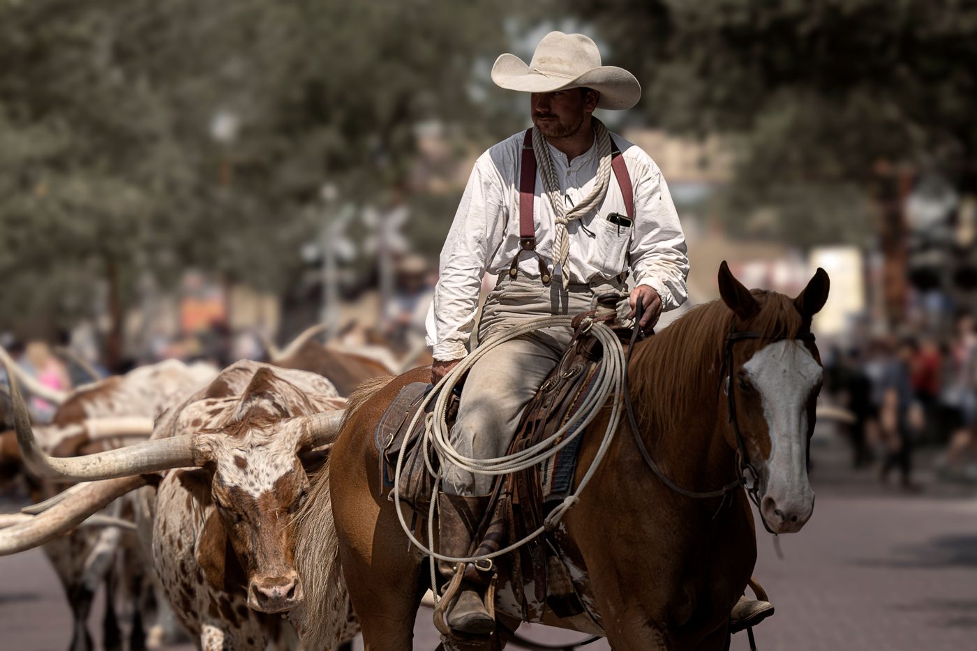 Lonesome Dove