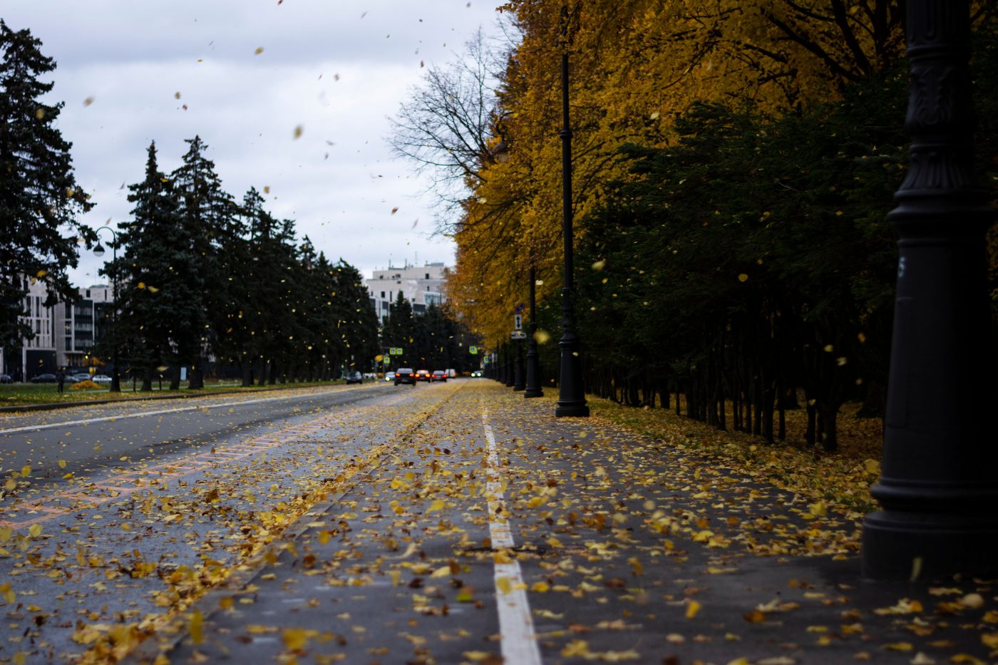 November 9 by Colleen Hoover