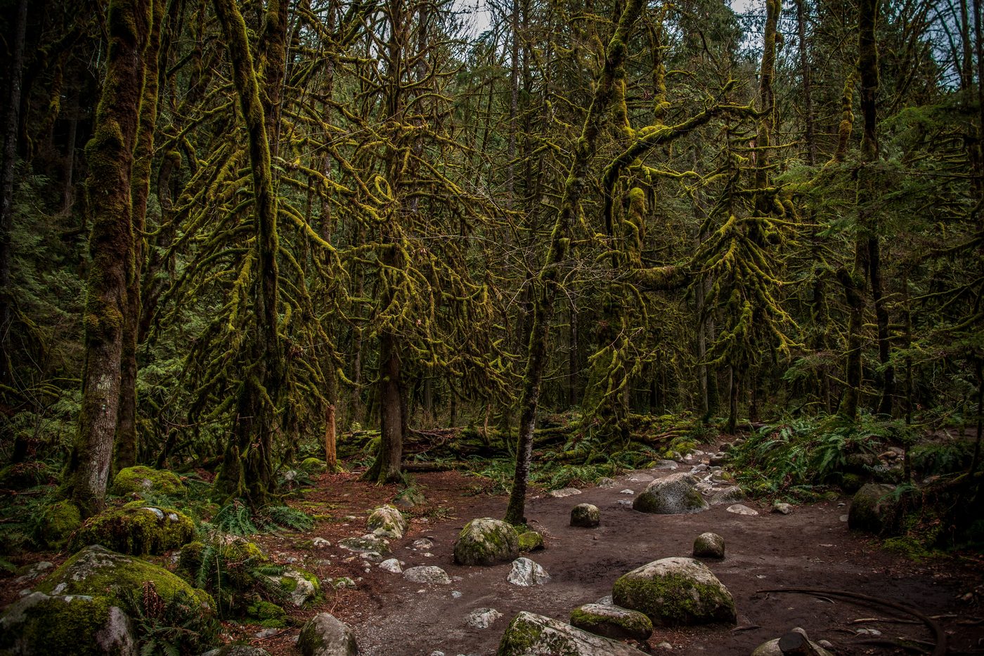 A Psalm for the Wild-Built