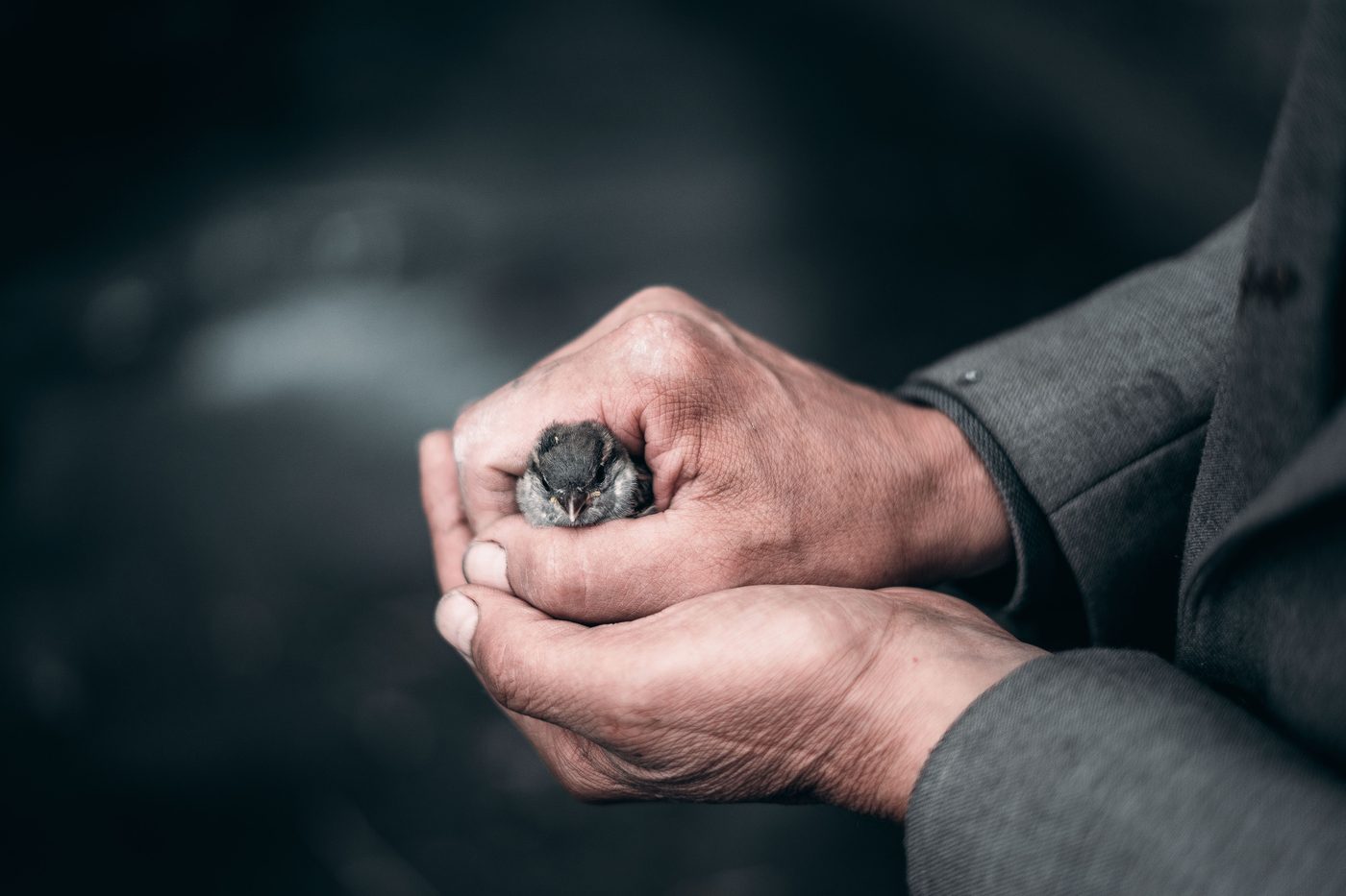 Radical Compassion