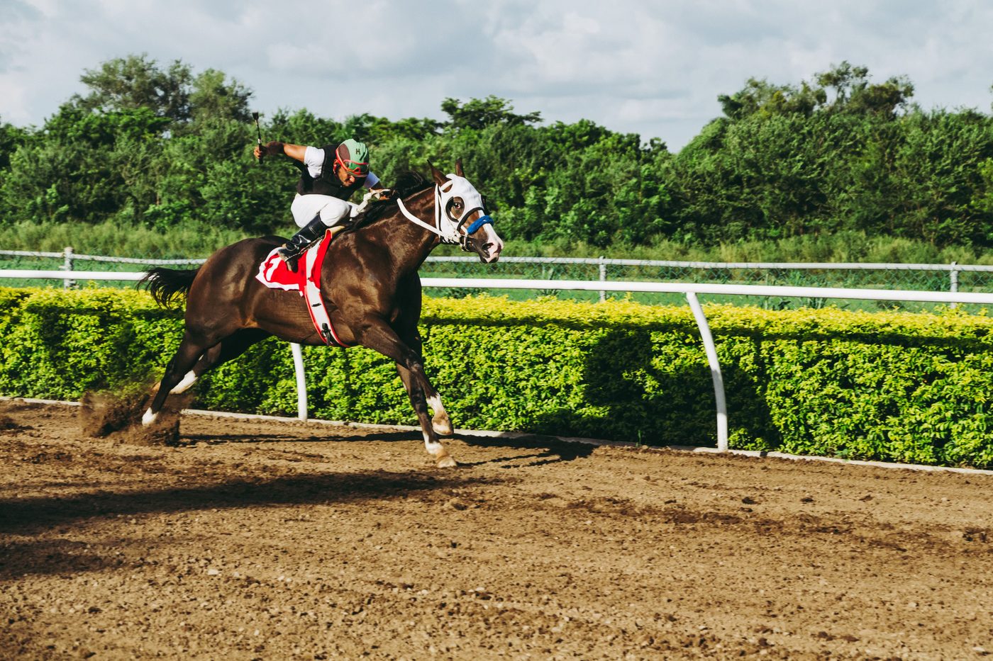 Seabiscuit