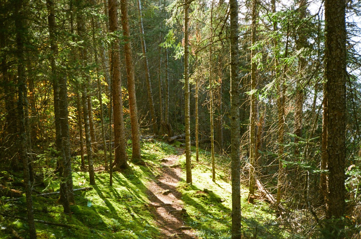 The Simple Path to Wealth