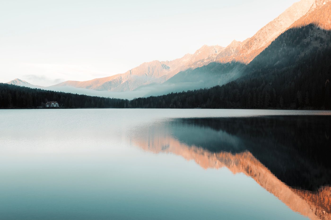 Stillness Is the Key