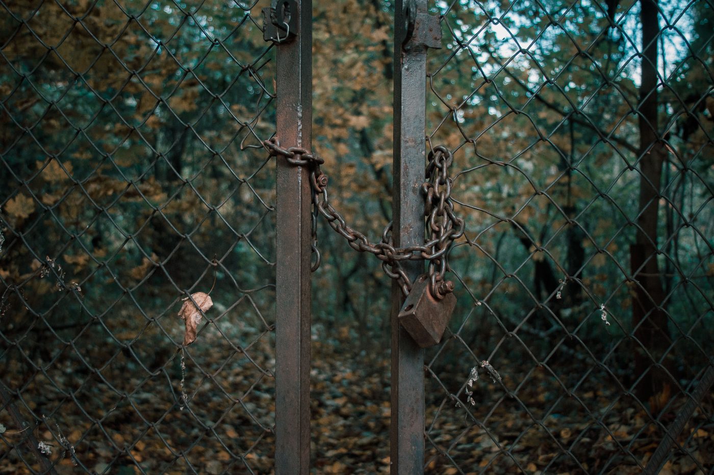 The Chain