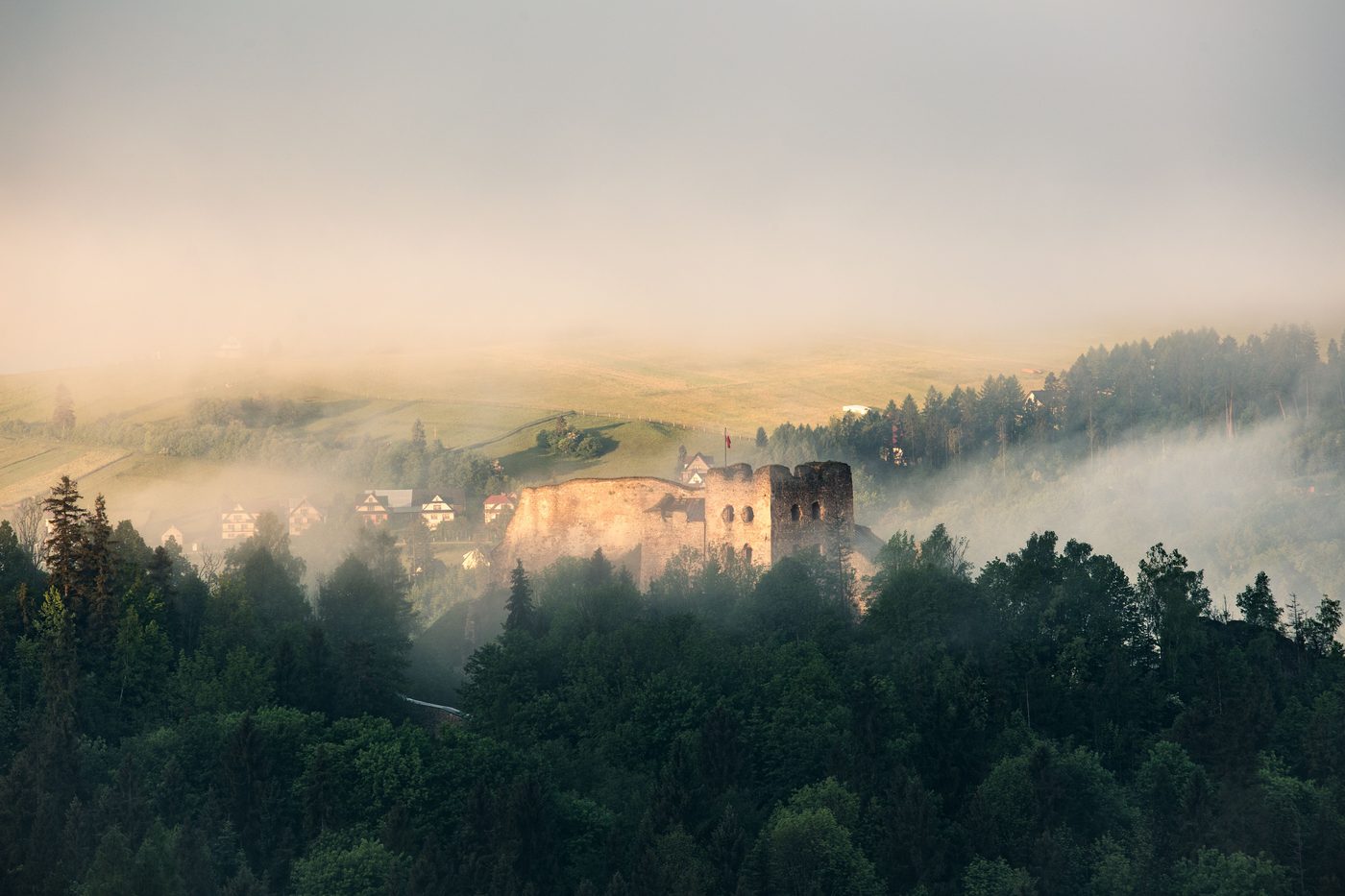 The Historian