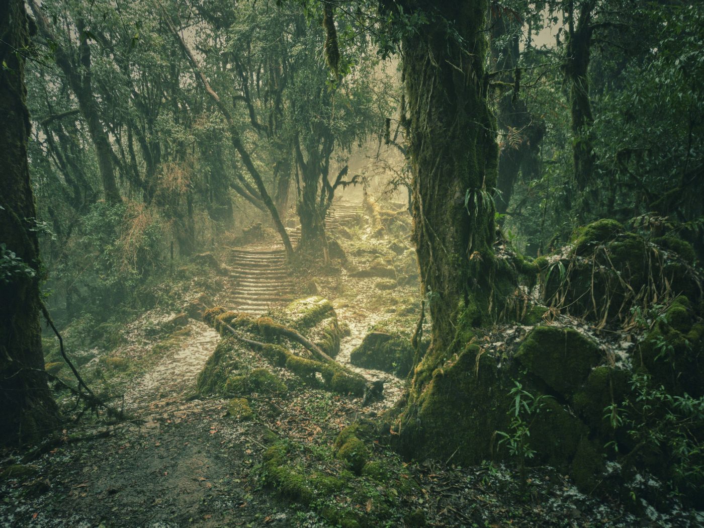 The Hobbit