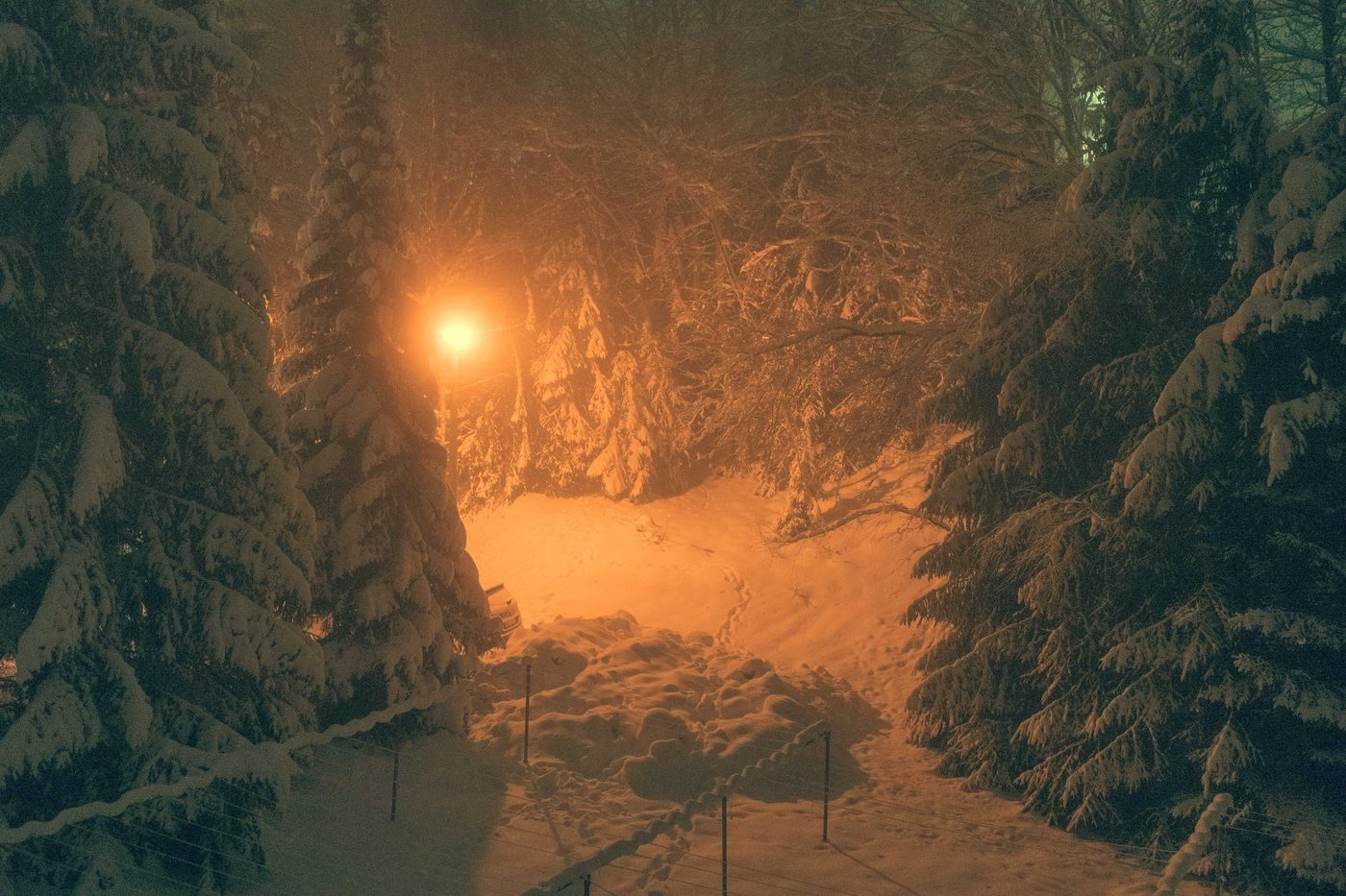The Lion, the Witch and the Wardrobe