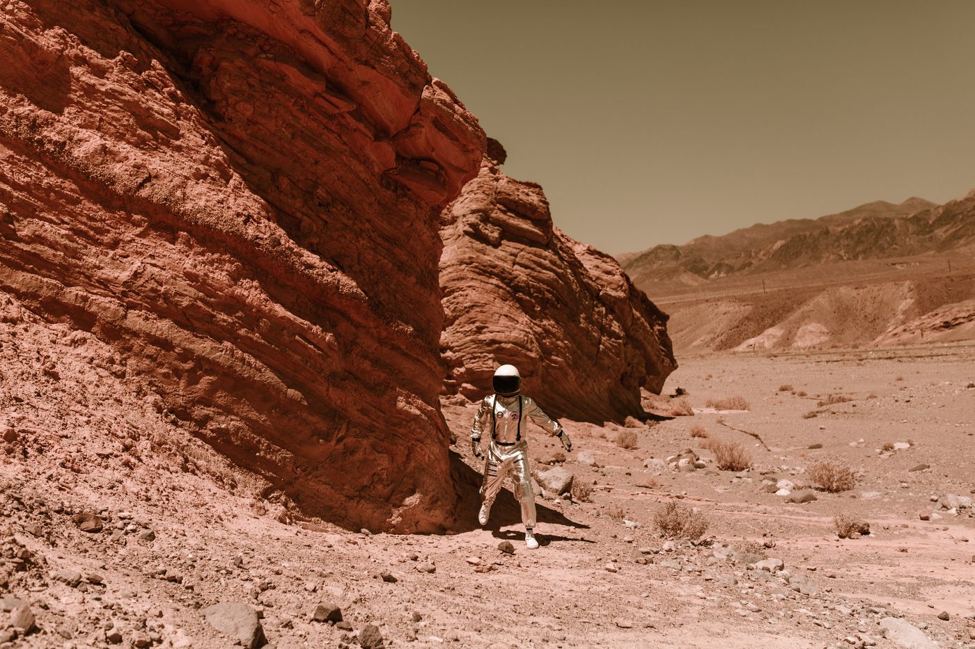 The Martian