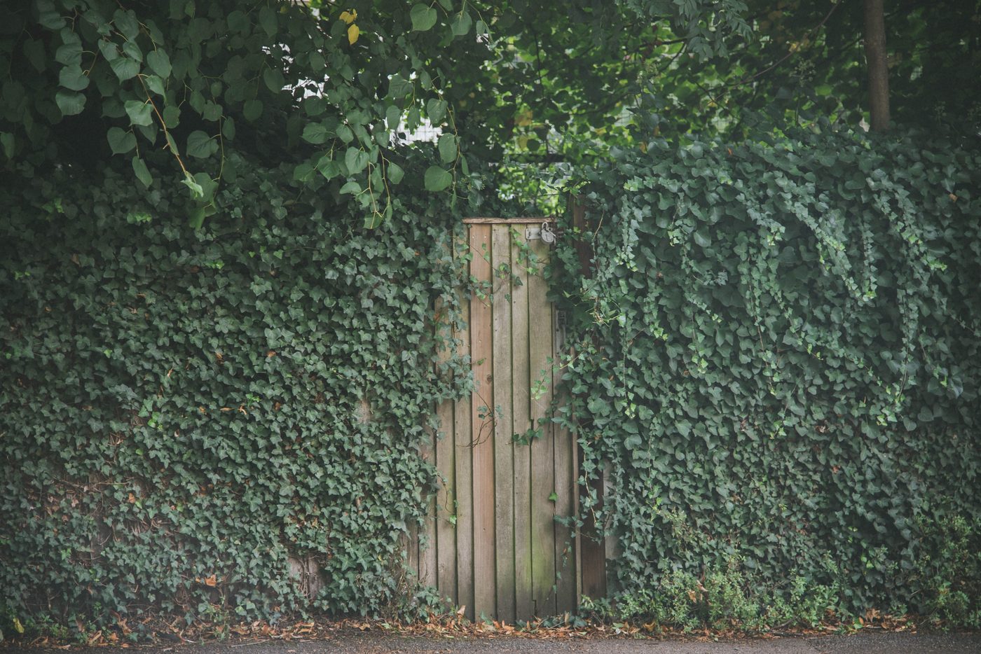 The Secret Garden