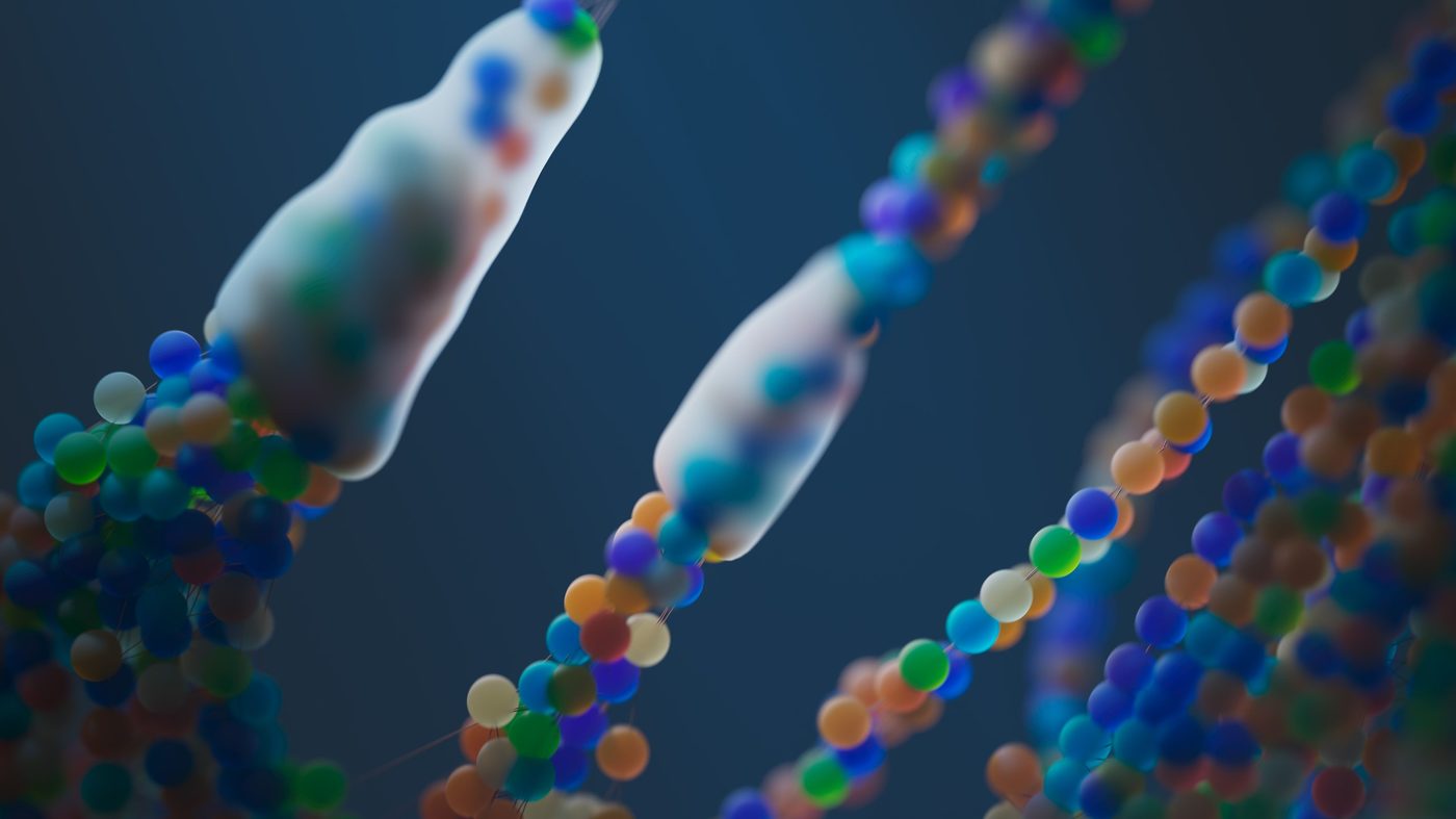 The Telomere Effect by Elizabeth Blackburn and Elissa Epel