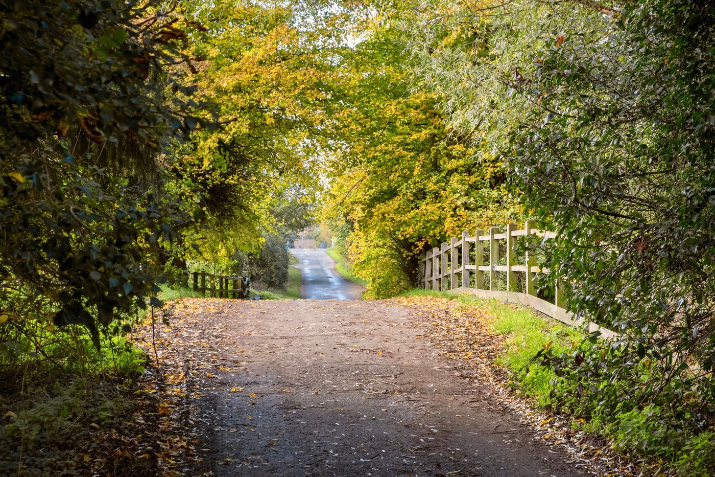 The Unlikely Pilgrimage of Harold Fry by Rachel Joyce