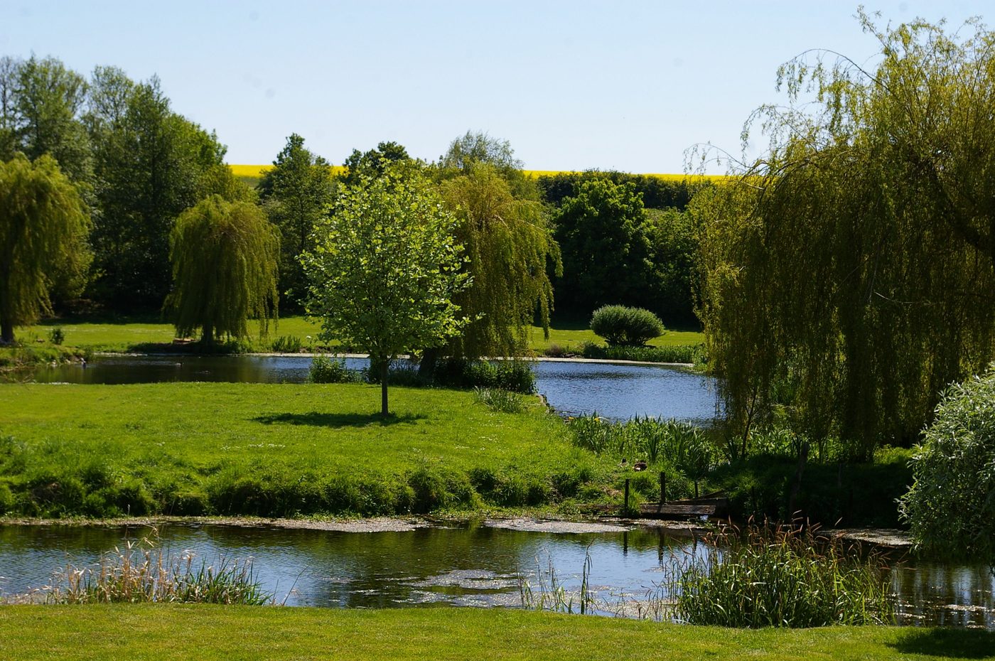 The Wind in the Willows
