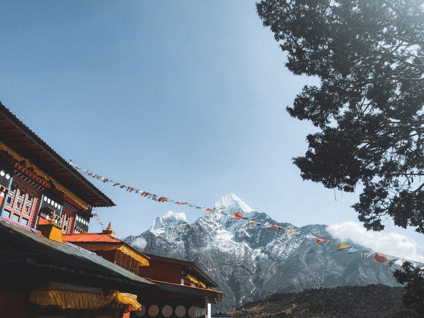 The Tibetan Book of Living and Dying