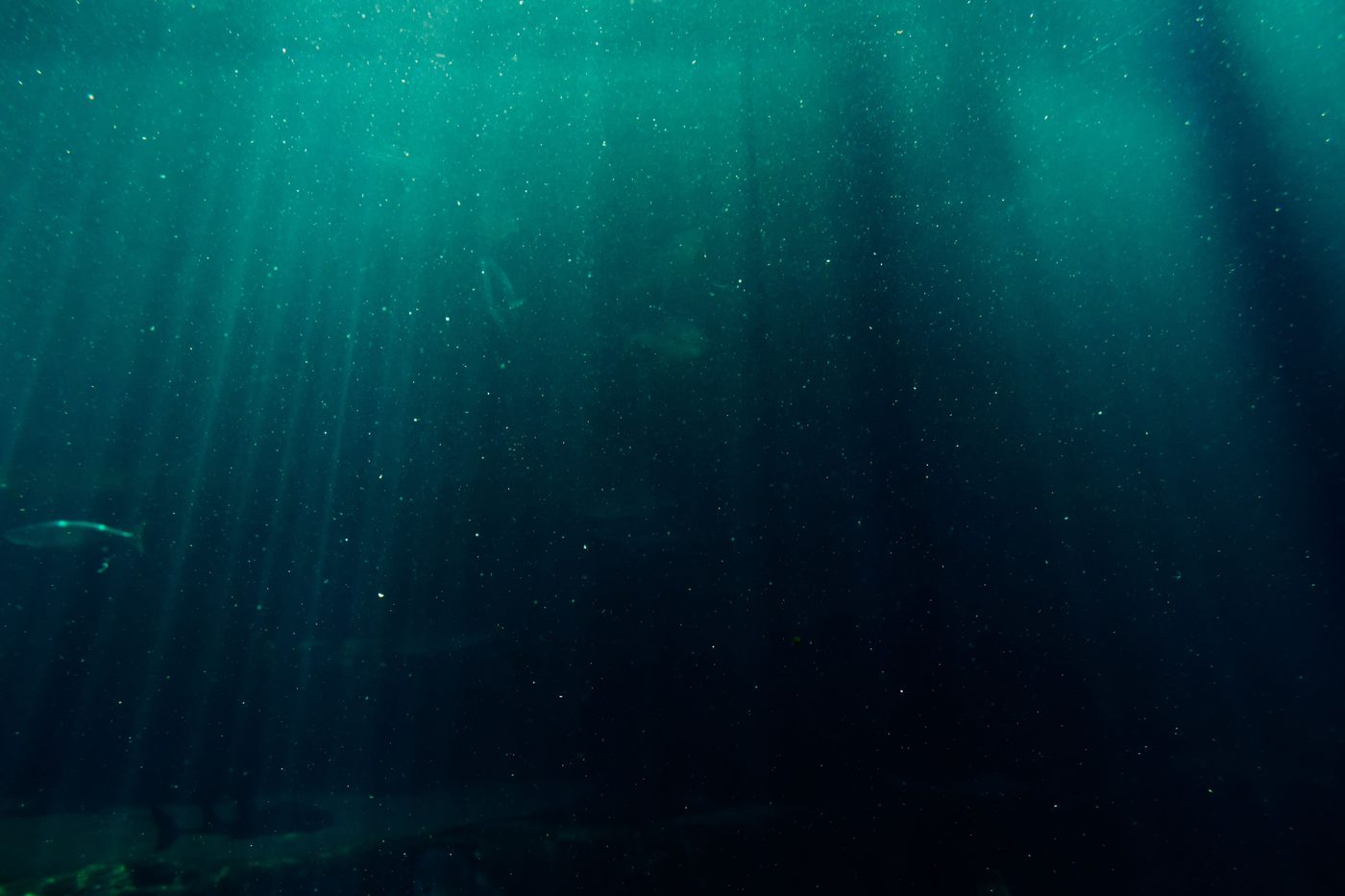 Twenty Thousand Leagues Under the Sea