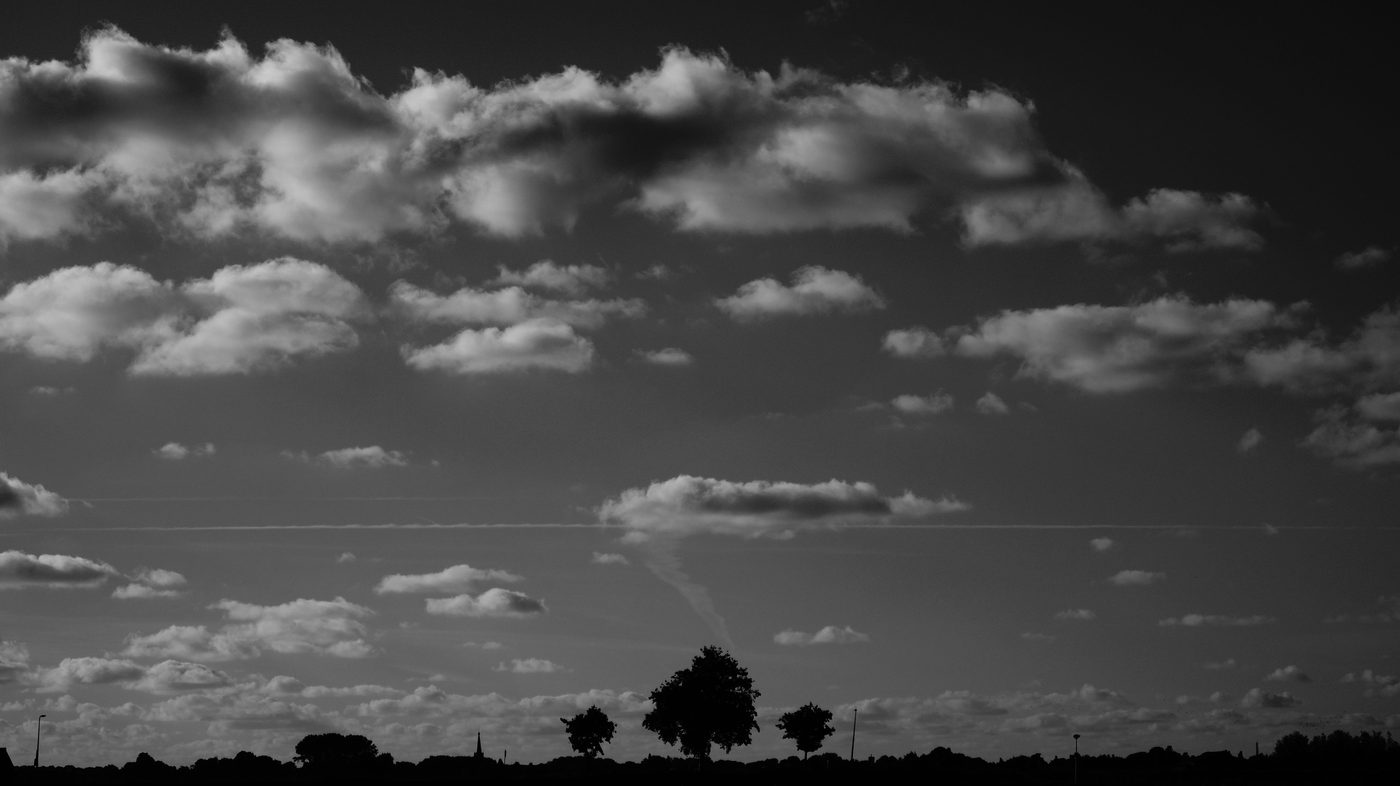 Under a White Sky