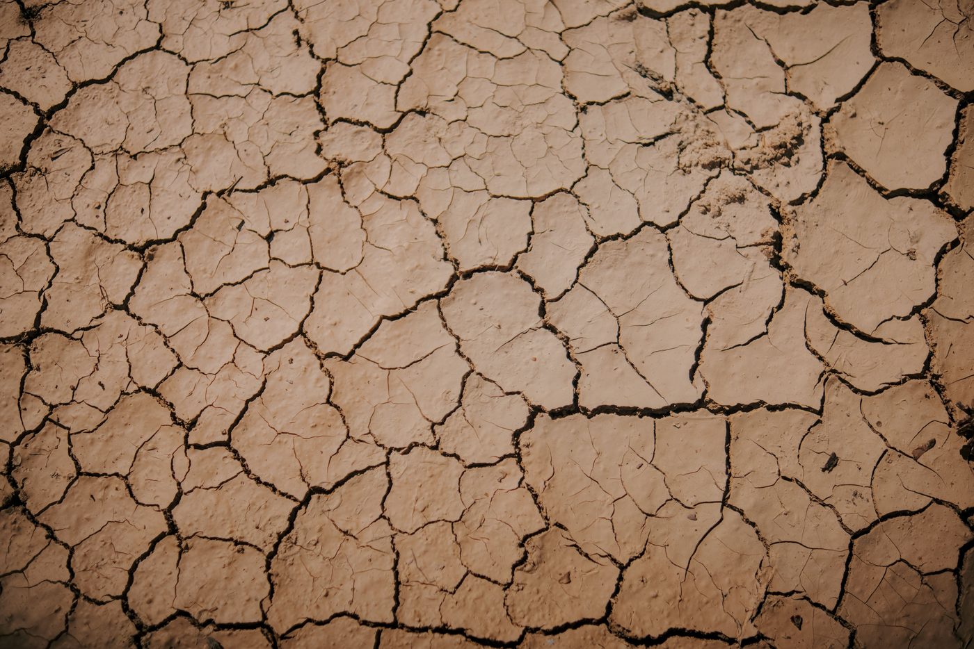 The Uninhabitable Earth
