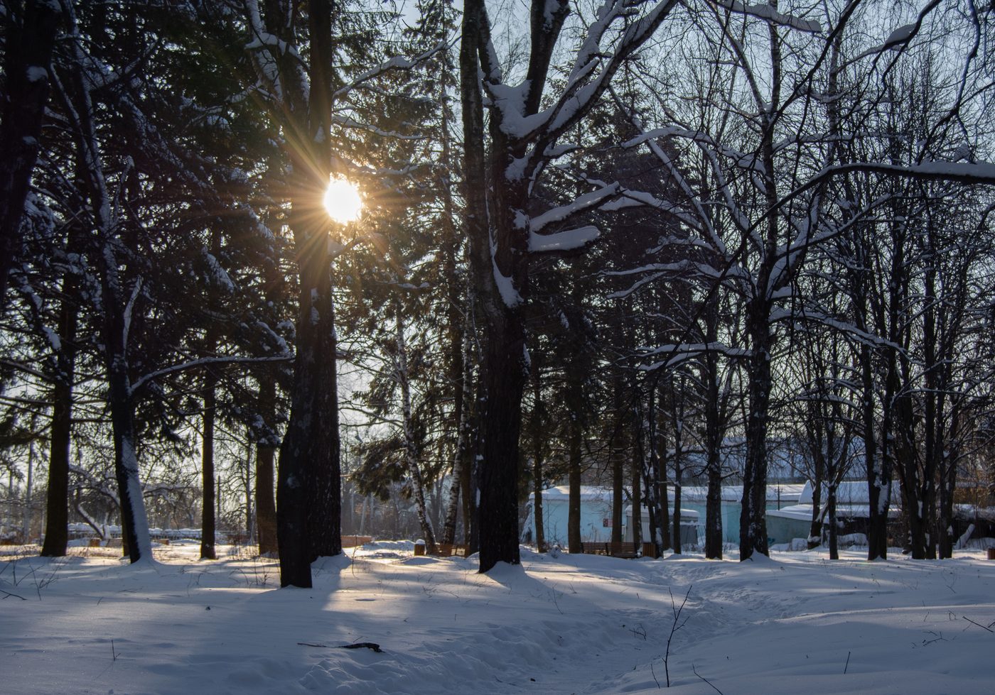 The Winter of the Witch