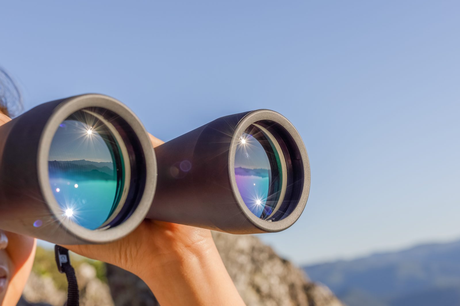 Zeiss Victory SF 10x42 Binoculars